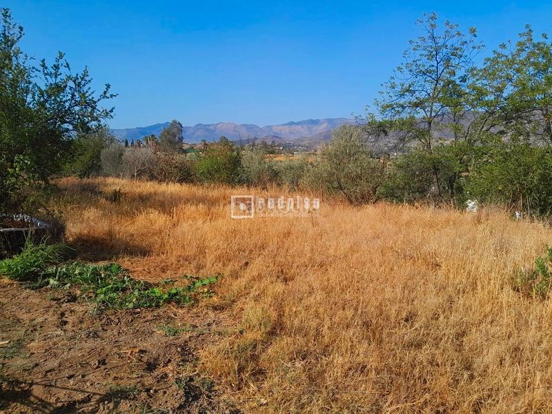 Foto d6fa61eb-8fb3-4375-bbff-538c175e0756. Terreno residenziale in Campanillas Málaga