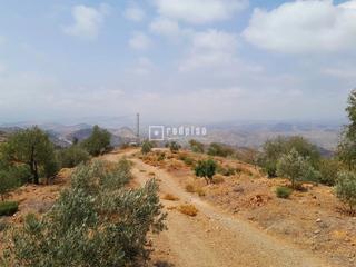 Area edificabile industriale  Ermita de verdiales. Oportunidad única finca en los montes de málaga con vistas espec