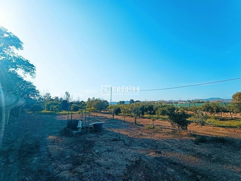 Foto 395f6dc6-9d96-4a97-87fb-9e2b024fa682. Terreny residencial a Sexmo Cártama