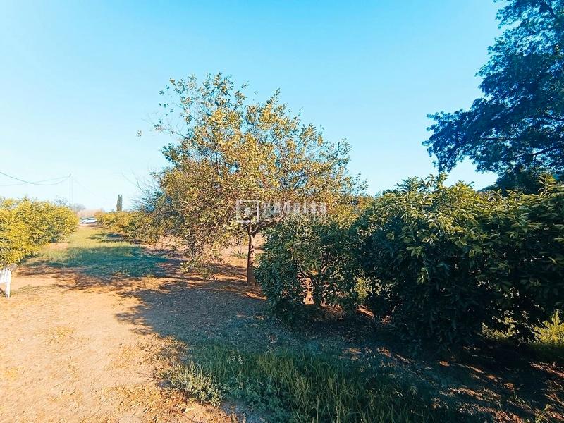 Foto 58d8751a-0794-4fde-85c1-594e91537e28. Area edificabile industriale in Cártama