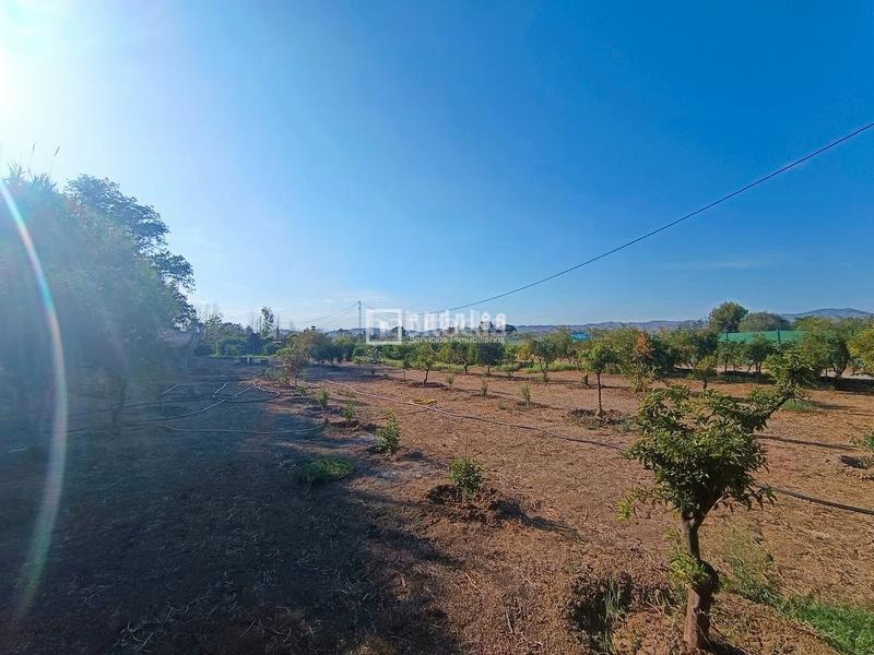 Foto 59f5602d-22d6-4cdc-bd3a-2bcb8050121b. Area edificabile industriale in Cártama