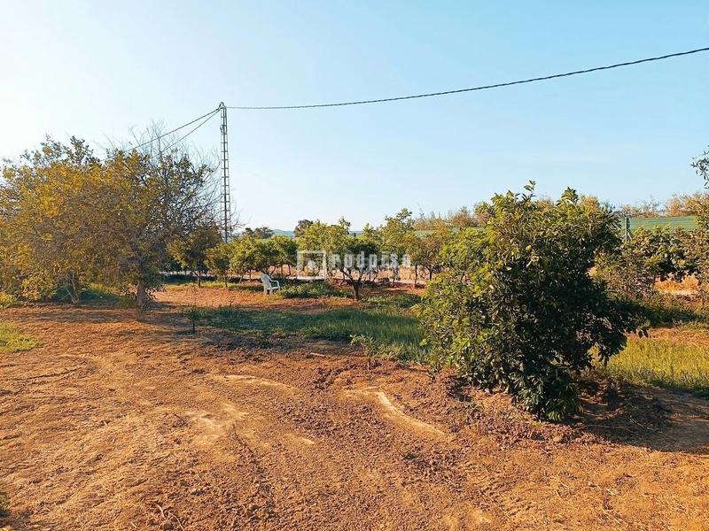 Foto 5ce28916-7220-4c1c-a667-40b10605a7d4. Area edificabile industriale in Cártama