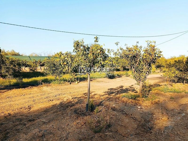 Foto 7aac65c8-6189-4502-a2c9-4653fc830707. Terreny residencial a Sexmo Cártama