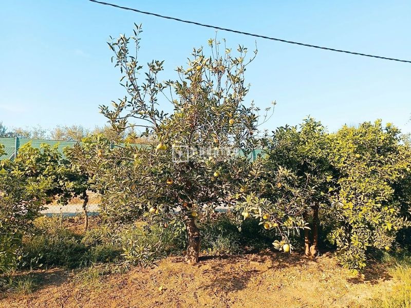 Foto 87eb332d-e1d1-43a7-8107-e43d85b8cbe9. Terreny residencial a Sexmo Cártama