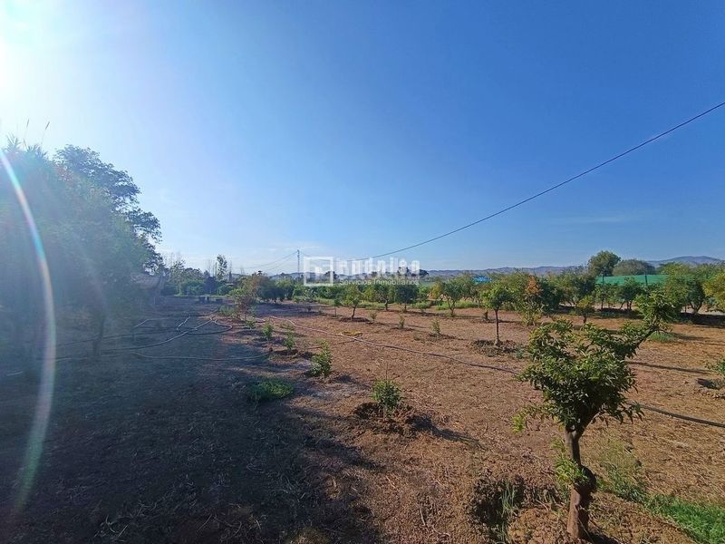 Foto 9303c325-e075-4ca4-8ac0-790ff8f270ca. Terreny residencial a Sexmo Cártama