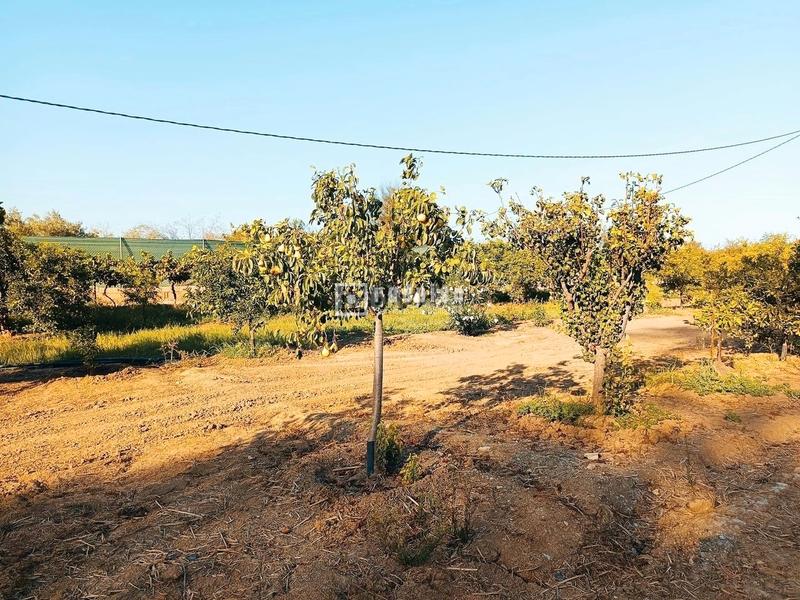 Foto af3afaa9-fca8-445c-a573-8e3d6d4f3c51. Area edificabile industriale in Cártama