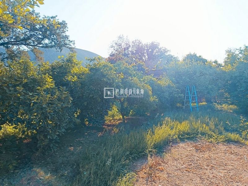 Foto f1a5f3c5-f00a-4696-80e0-e570dd431149. Terreny residencial a Sexmo Cártama