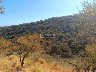 Terreny residencial  R2. Solar rústico ubicado en los montes de málaga  amplio espacio pa