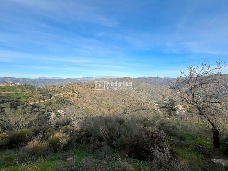 Foto 02518e53-728b-4573-a544-58d97c1cfd99. Terrain industriel dans alegría de la huerta- jardín de Málaga Málaga