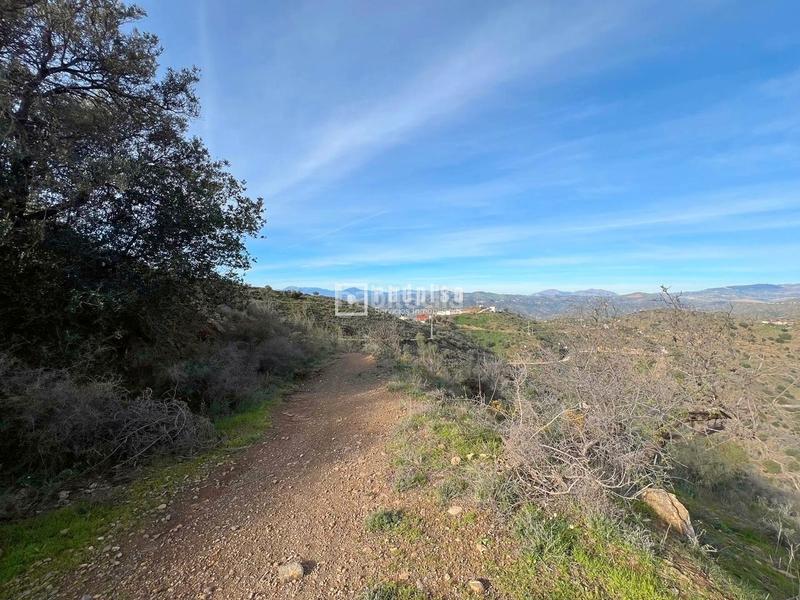 Foto 0c127d85-9dfd-4950-ad57-65163eaf6001. Terrain industriel dans alegría de la huerta- jardín de Málaga Málaga