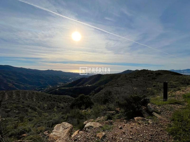 Foto 267d48ec-57ae-4c0b-8bf7-e6732aa70974. Terrain industriel dans alegría de la huerta- jardín de Málaga Málaga