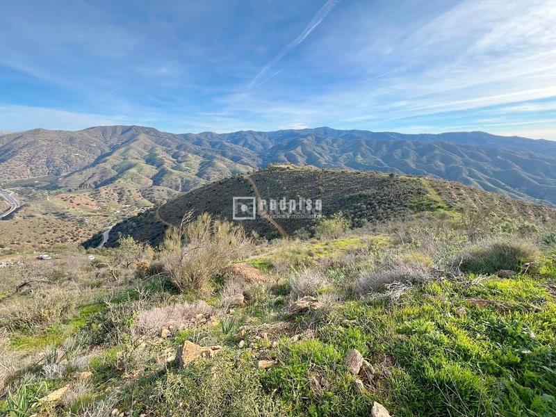 Foto 2e83c2c4-6b8e-420c-a97e-8ff75405d249. Terrain industriel dans alegría de la huerta- jardín de Málaga Málaga