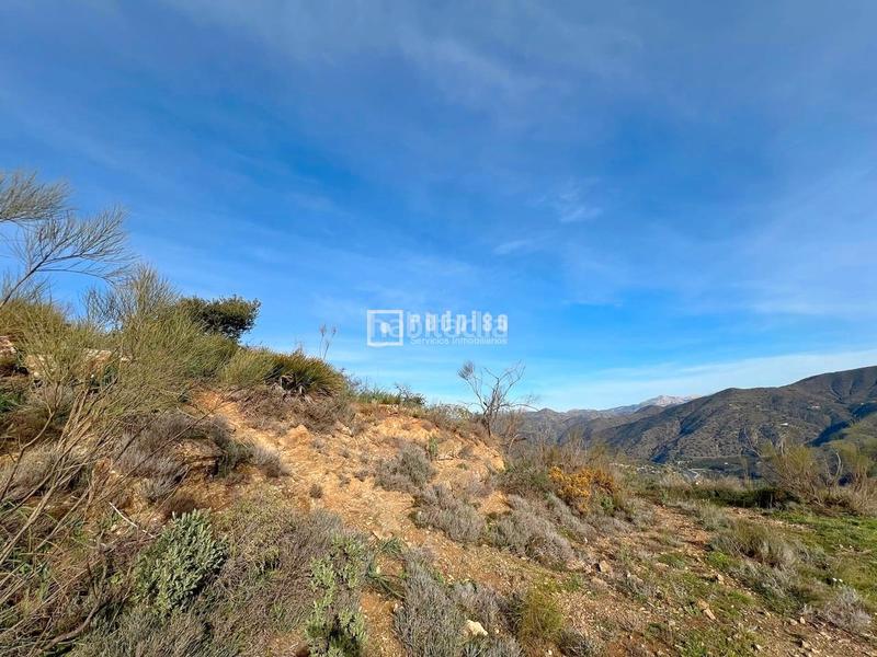 Foto 4ffe82de-a486-4f25-b13f-4e787912f701. Terrain industriel dans alegría de la huerta- jardín de Málaga Málaga