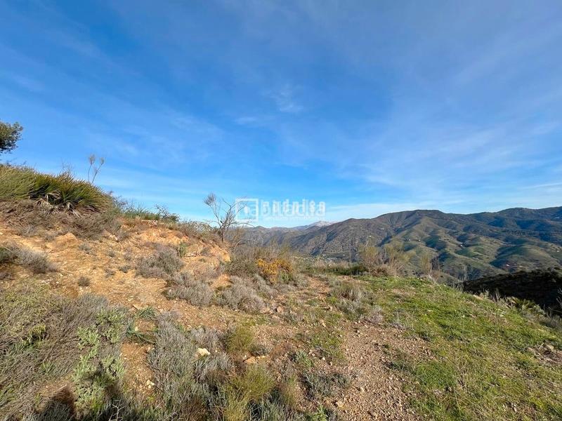 Foto 8d4db0a3-b330-4921-81e0-36beefb50562. Terrain industriel dans alegría de la huerta- jardín de Málaga Málaga