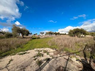 Terrain résidentiel  Miguel de cervantes. Terreno en venta para promotores e inversores en colmenar, málag
