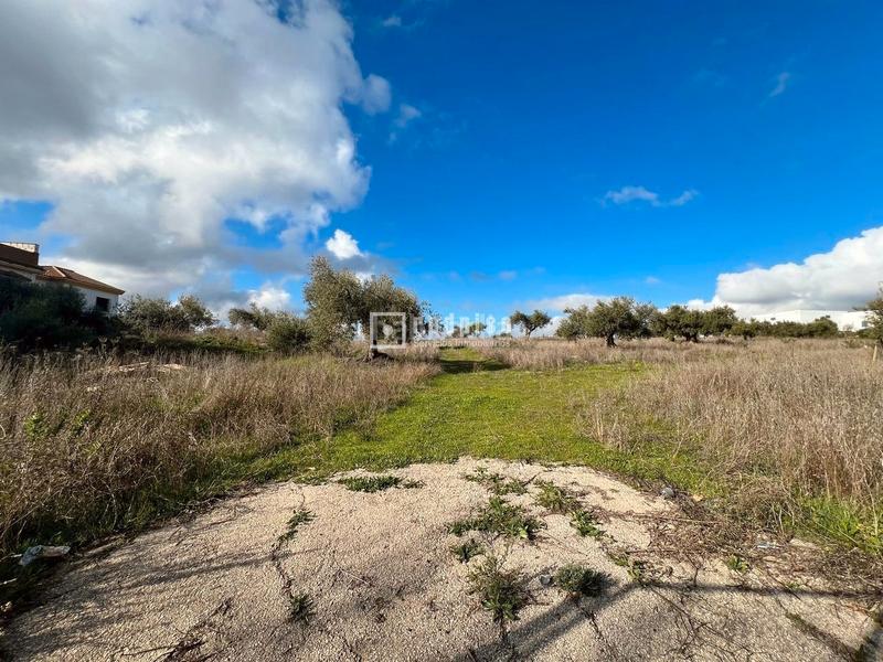 Foto 170ca09c-9bd8-4178-9ddb-e70715c4e387. Terreny residencial a Colmenar