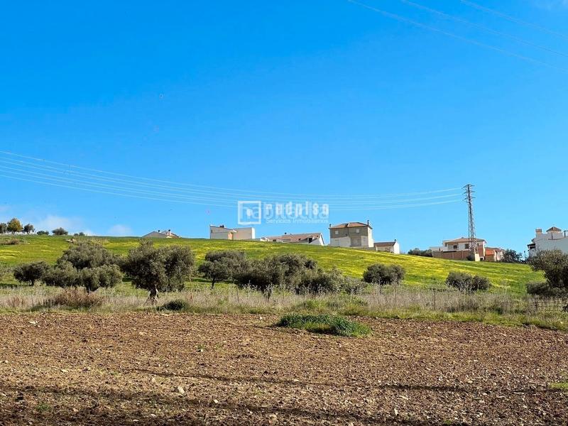 Foto 52c86aa4-193b-42ec-aaf6-21c0fdde0450. Terreny residencial a Colmenar