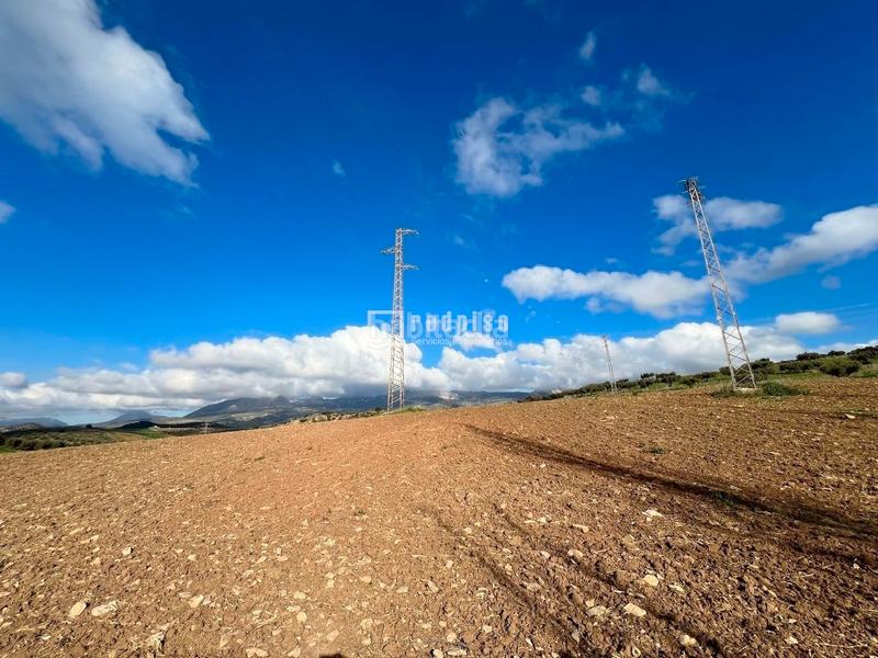 Foto 59f5a5c1-1305-475b-8c8a-2b2957b7b820. Terreny residencial a Colmenar