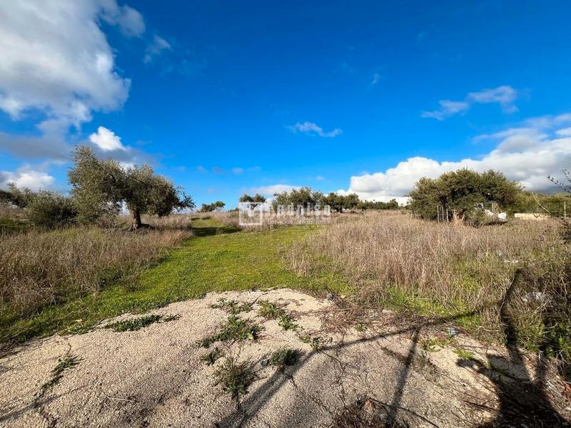 Foto 871aeb89-c057-437b-bca1-c65d33d8dcaf. Terreny residencial a Colmenar