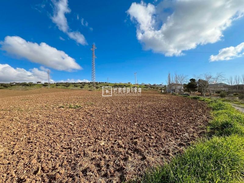 Foto 90978813-9ac3-4530-952d-b0deb3fc8a20. Terreny residencial a Colmenar