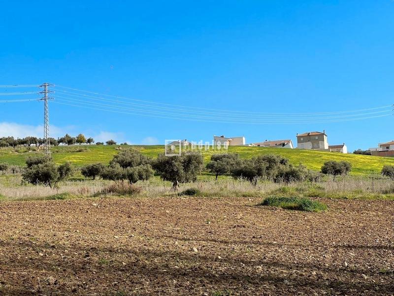 Foto 9b5d5b3b-8846-421f-9a03-d2e47551883b. Terreny residencial a Colmenar