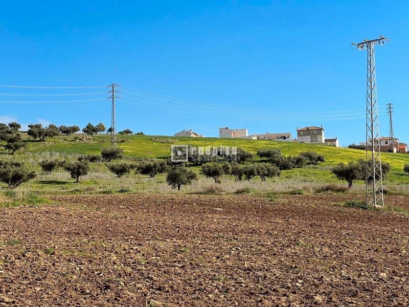 Foto a889f9a9-9cef-4a2b-b5a5-ac481e7b7d26. Terreny residencial a Colmenar