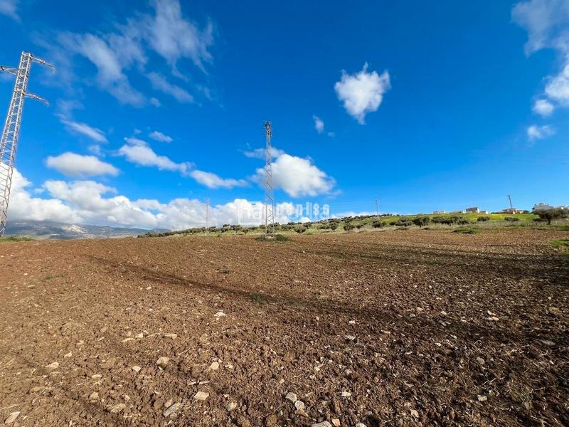 Foto a98d4b28-8457-4aee-b47c-e39b94600ba4. Terreny residencial a Colmenar