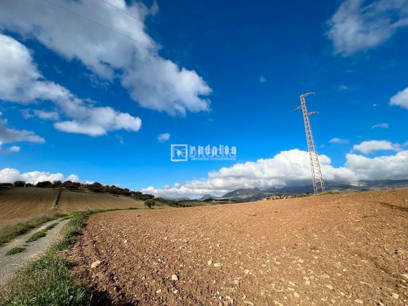 Foto df6ed4a9-6204-47a4-bb3e-4814c0b6ab7f. Terreny residencial a Colmenar