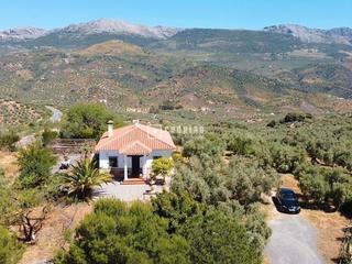 Chalet  De los pozuelos. Espectacular finca rústica de 25.000 m con casa, piscina, produc