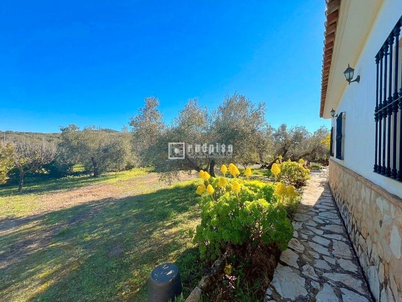 Foto 1c97ef41-11fb-4a11-b541-ab0faad18eba. Chalet espectacular finca rústica de 25.000 m con casa, piscina, producción de olivos ubicada a pocos minutos , málaga en Colmenar