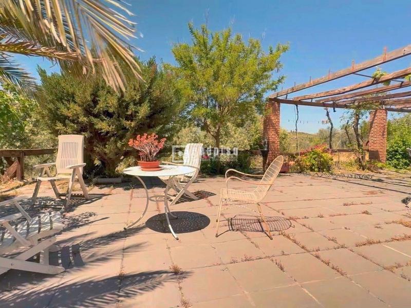 Foto 1d309e76-ce13-48ef-948e-96af4de57020. Chalet espectacular finca rústica de 25.000 m con casa, piscina, producción de olivos ubicada a pocos minutos , málaga en Colmenar