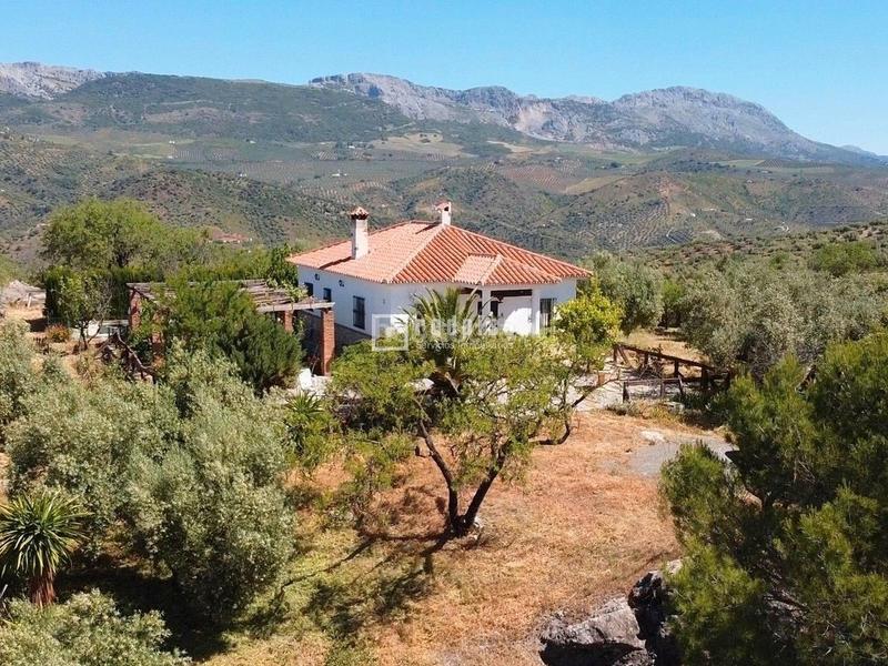 Foto 1de9a632-0eb7-4e3e-a74e-6c7b39640e74. Chalet espectacular finca rústica de 25.000 m con casa, piscina, producción de olivos ubicada a pocos minutos , málaga en Colmenar