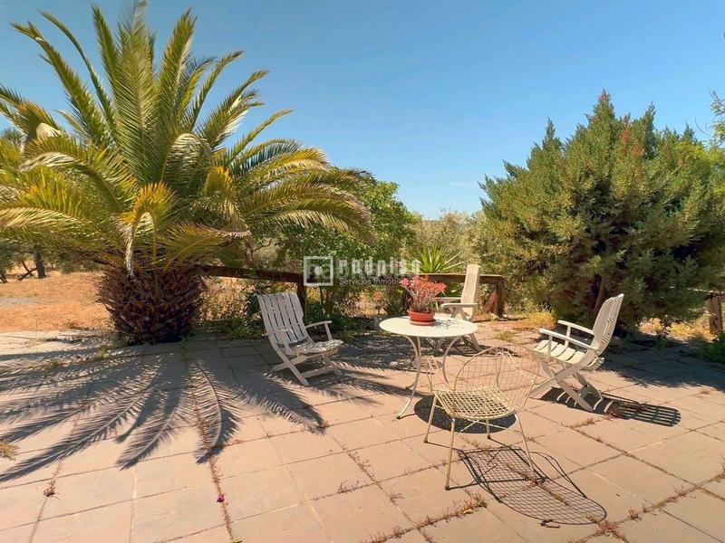 Foto 3804fef9-5711-418c-80ed-9d7f3ad3818b. Chalet espectacular finca rústica de 25.000 m con casa, piscina, producción de olivos ubicada a pocos minutos , málaga en Colmenar