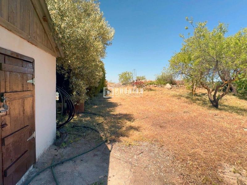 Foto 41720bf5-e49e-4bf7-8d25-a85ca847de00. Chalet espectacular finca rústica de 25.000 m con casa, piscina, producción de olivos ubicada a pocos minutos , málaga en Colmenar