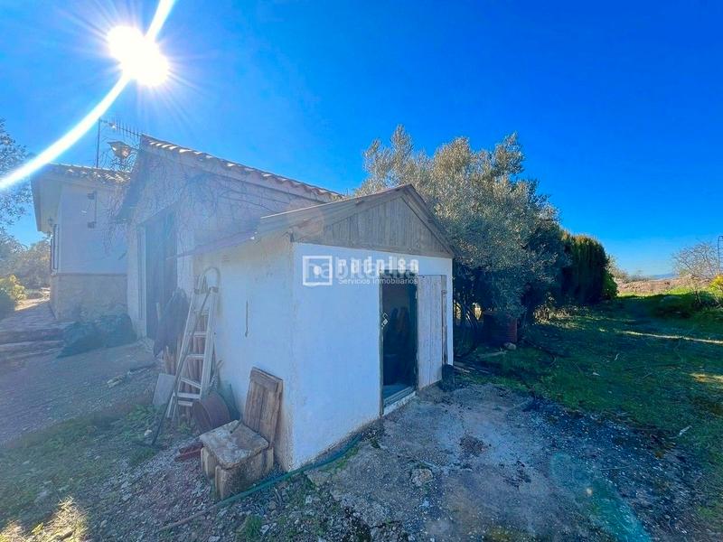 Foto 4f94d552-1f23-45c3-89d9-f65af53384df. Chalet espectacular finca rústica de 25.000 m con casa, piscina, producción de olivos ubicada a pocos minutos , málaga en Colmenar