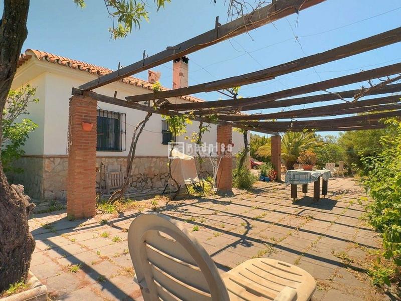 Foto 5275edba-5458-417f-a40f-a3f7ce873d15. Chalet espectacular finca rústica de 25.000 m con casa, piscina, producción de olivos ubicada a pocos minutos , málaga en Colmenar