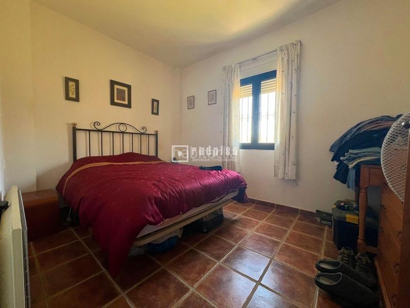 Foto 5cffbf22-dc0b-429a-9232-6cceeeb9b743. Chalet espectacular finca rústica de 25.000 m con casa, piscina, producción de olivos ubicada a pocos minutos , málaga en Colmenar