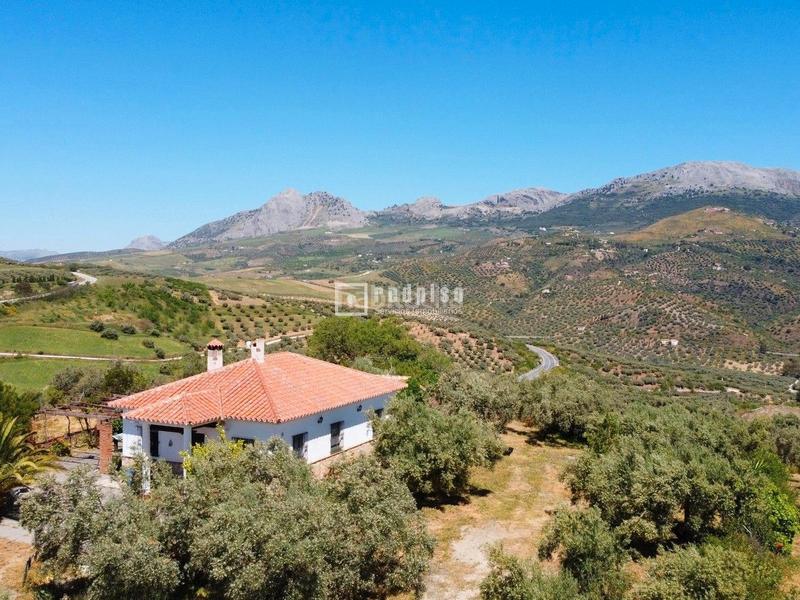 Foto 81593350-f793-4311-9842-cd466ab447f6. Chalet espectacular finca rústica de 25.000 m con casa, piscina, producción de olivos ubicada a pocos minutos , málaga en Colmenar