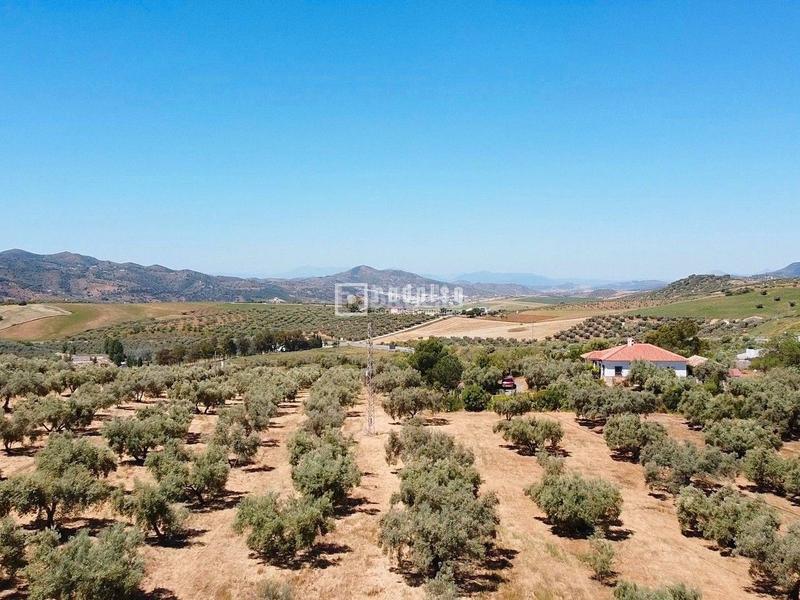 Foto 88f96ecd-a431-4d2e-98f3-41e7ff578f78. Chalet espectacular finca rústica de 25.000 m con casa, piscina, producción de olivos ubicada a pocos minutos , málaga en Colmenar