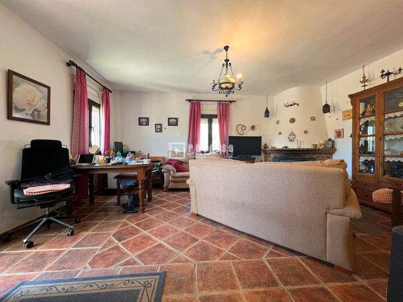 Foto a91aa5be-87d3-4685-b838-b5681b3b4b23. Chalet espectacular finca rústica de 25.000 m con casa, piscina, producción de olivos ubicada a pocos minutos , málaga en Colmenar