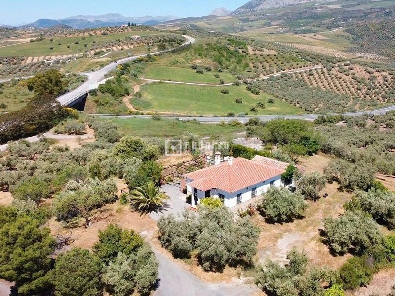Foto f0825082-b40c-4802-9325-fde707139d9a. Chalet espectacular finca rústica de 25.000 m con casa, piscina, producción de olivos ubicada a pocos minutos , málaga en Colmenar