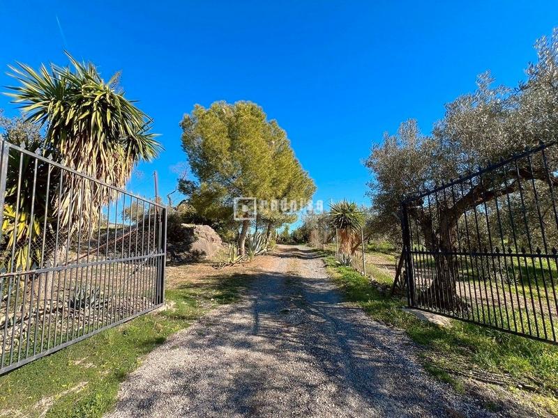 Foto f1e4f252-789b-44e1-aad2-d8dc19fa12fb. Chalet espectacular finca rústica de 25.000 m con casa, piscina, producción de olivos ubicada a pocos minutos , málaga en Colmenar