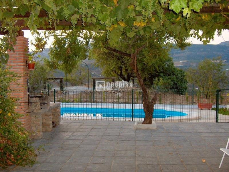 Foto f3ffa5aa-f7cb-4318-ae8a-498c4dba8247. Chalet espectacular finca rústica de 25.000 m con casa, piscina, producción de olivos ubicada a pocos minutos , málaga en Colmenar