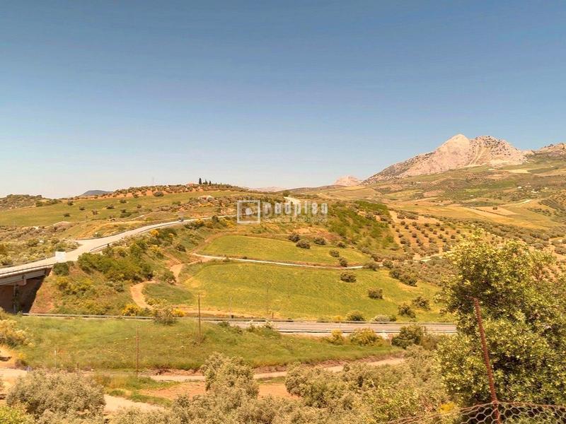 Foto fdfb635c-466b-499c-9b0b-2bce1ebf9a36. Chalet espectacular finca rústica de 25.000 m con casa, piscina, producción de olivos ubicada a pocos minutos , málaga en Colmenar