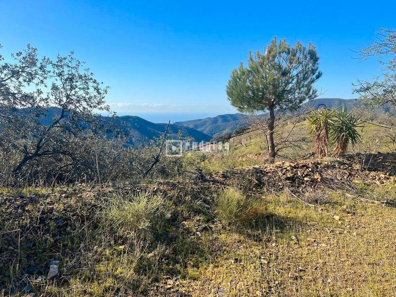 Foto 0bfee4d0-05f2-4b5e-929e-3f08cd9169a7. Terrain industriel dans Olías Málaga