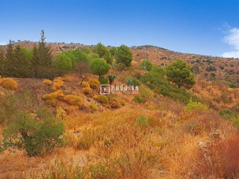 Foto f39c8cab-58e8-4343-8586-a7f90fa6a840. Terrain industriel dans Olías Málaga