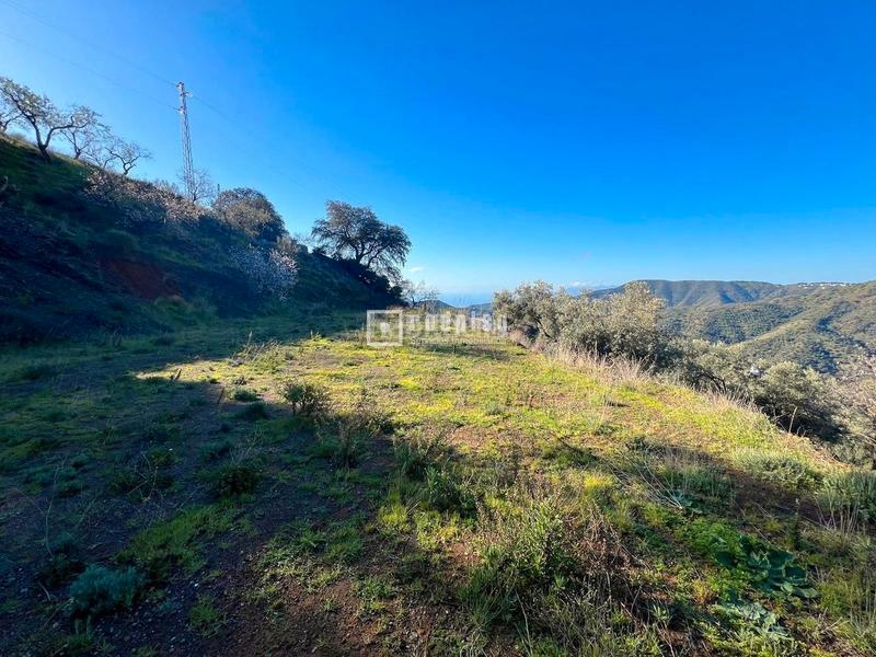 Foto 0c50479e-8d45-430a-bcec-56db9b331b25. Terreny residencial a Olías Málaga