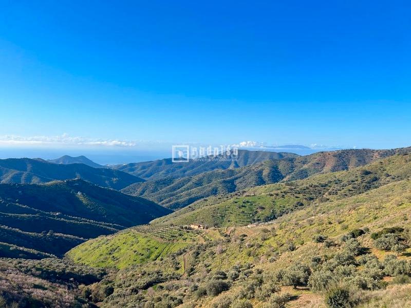 Foto 2e46e11d-6327-438d-97ec-c9d95ad28346. Terreny residencial a Olías Málaga