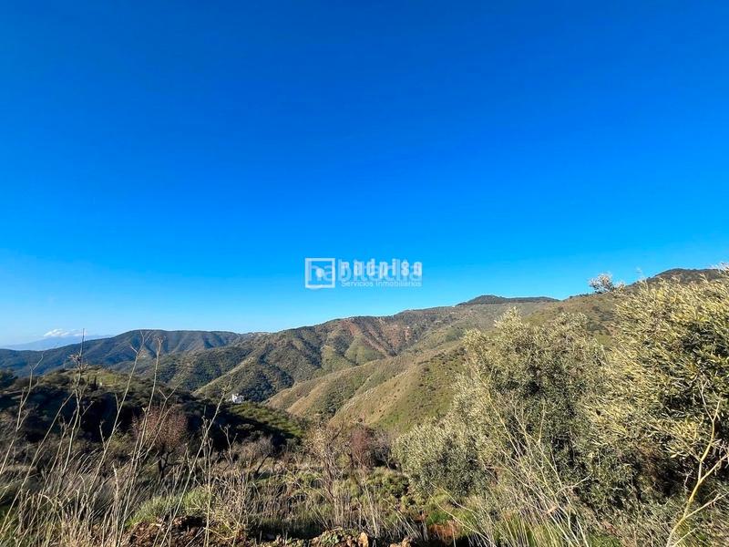 Foto 65940d73-5f78-4b48-8102-cce1ba5d8215. Terreny residencial a Olías Málaga