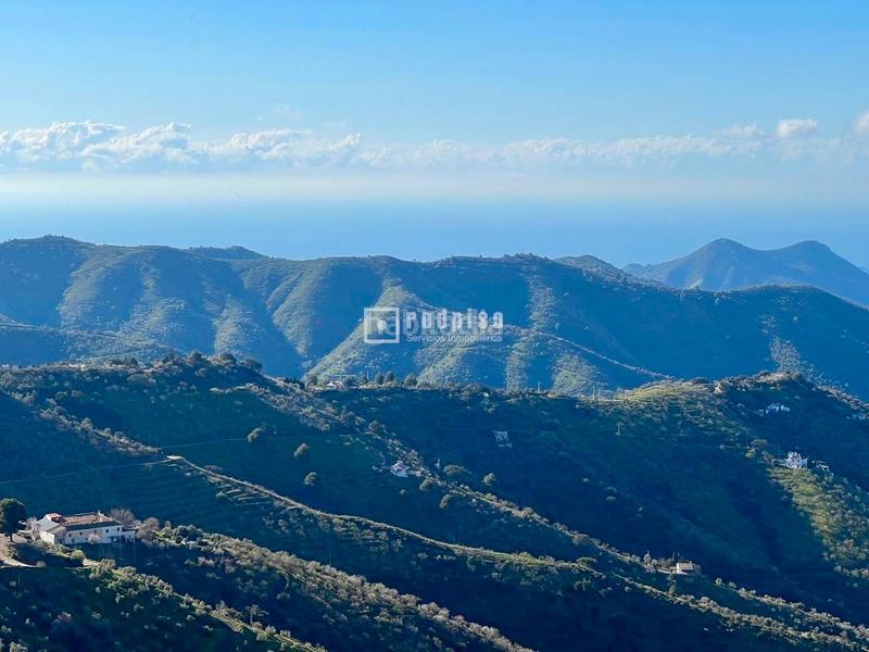 Foto 6cbd83a2-2385-4ba5-9283-3cf6e33b961b. Terreny residencial a Olías Málaga